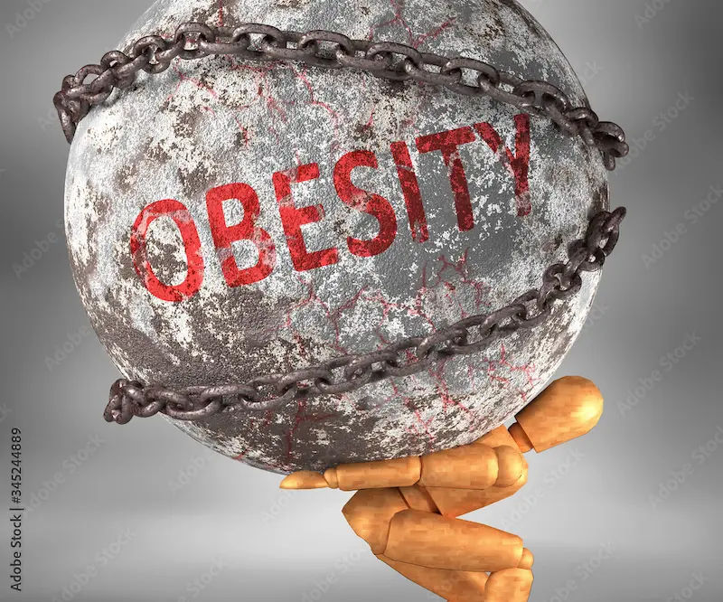 Obesity and Hypertension Breaking the Link